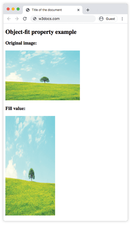 Значение fill свойства CSS object-fit, растягивающее изображение